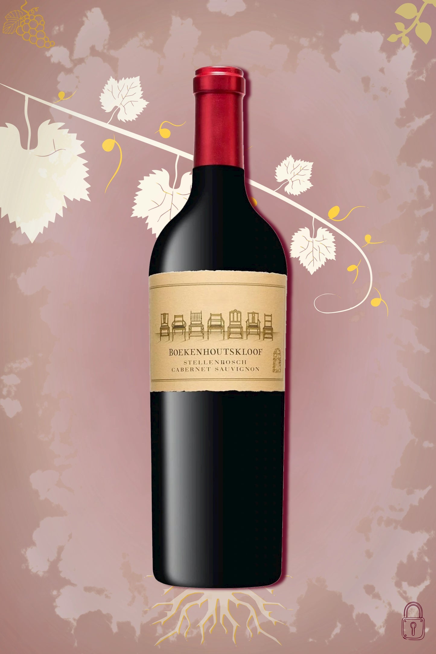 Boekenhoutskloof Cabernet Sauvignon 2018 tegen bordeaux achtergrond – premium rode wijn