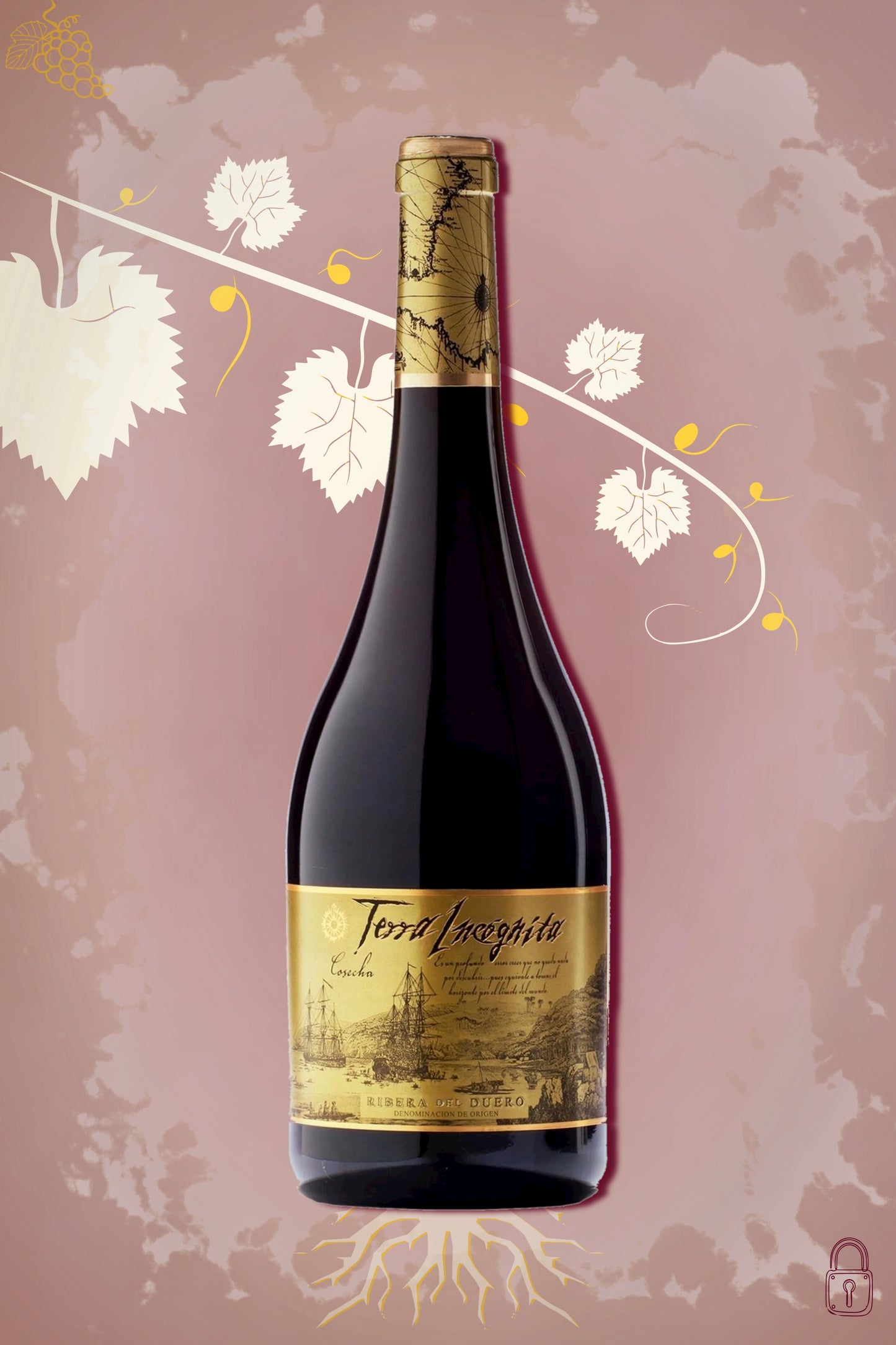 Bodegas Vilano Terra Incógnita 2019 tegen bordeaux achtergrond – volle rode wijn