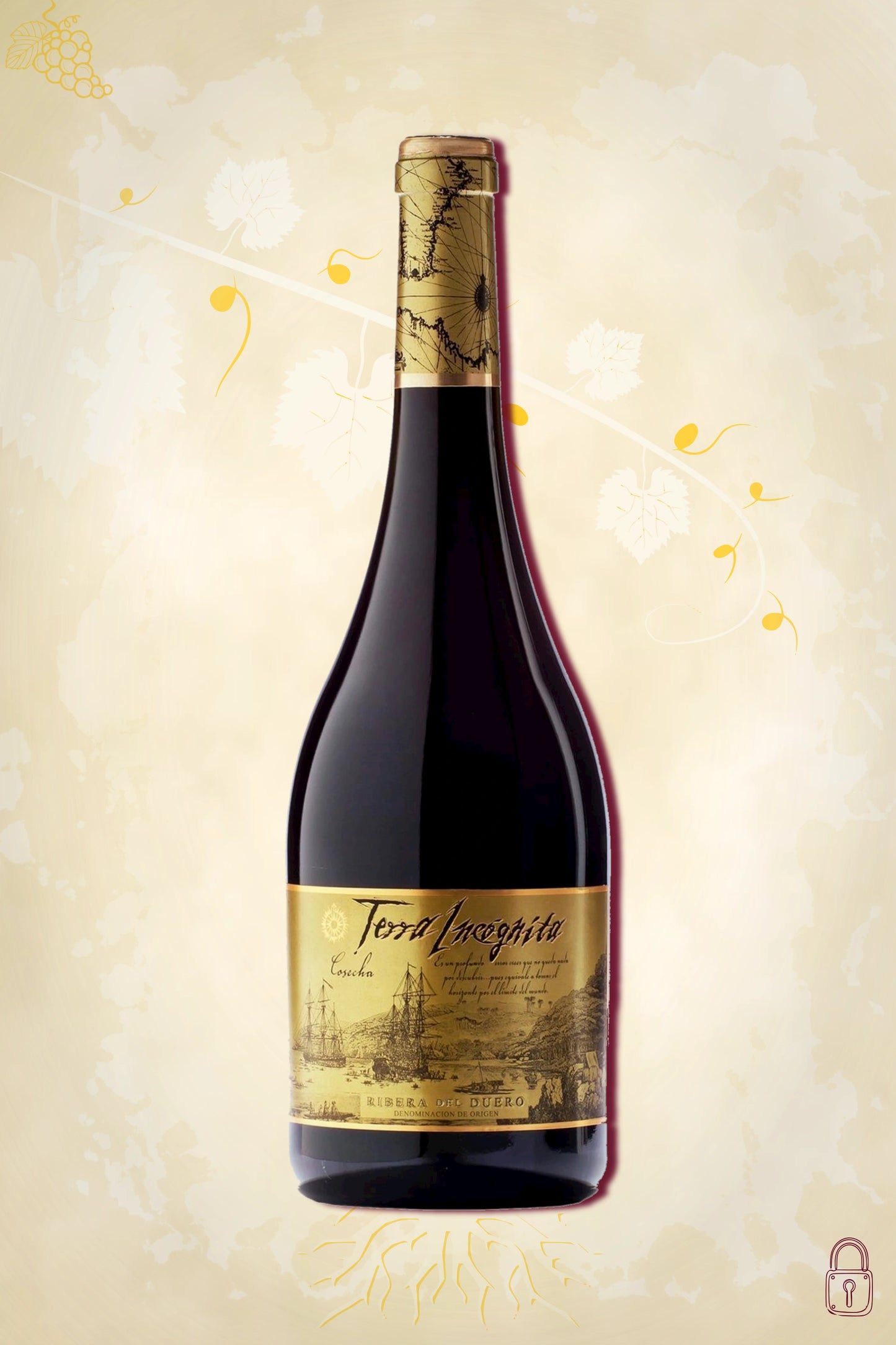 Bodegas Vilano Terra Incógnita 2019 – rode wijn uit Ribera del Duero, Spanje