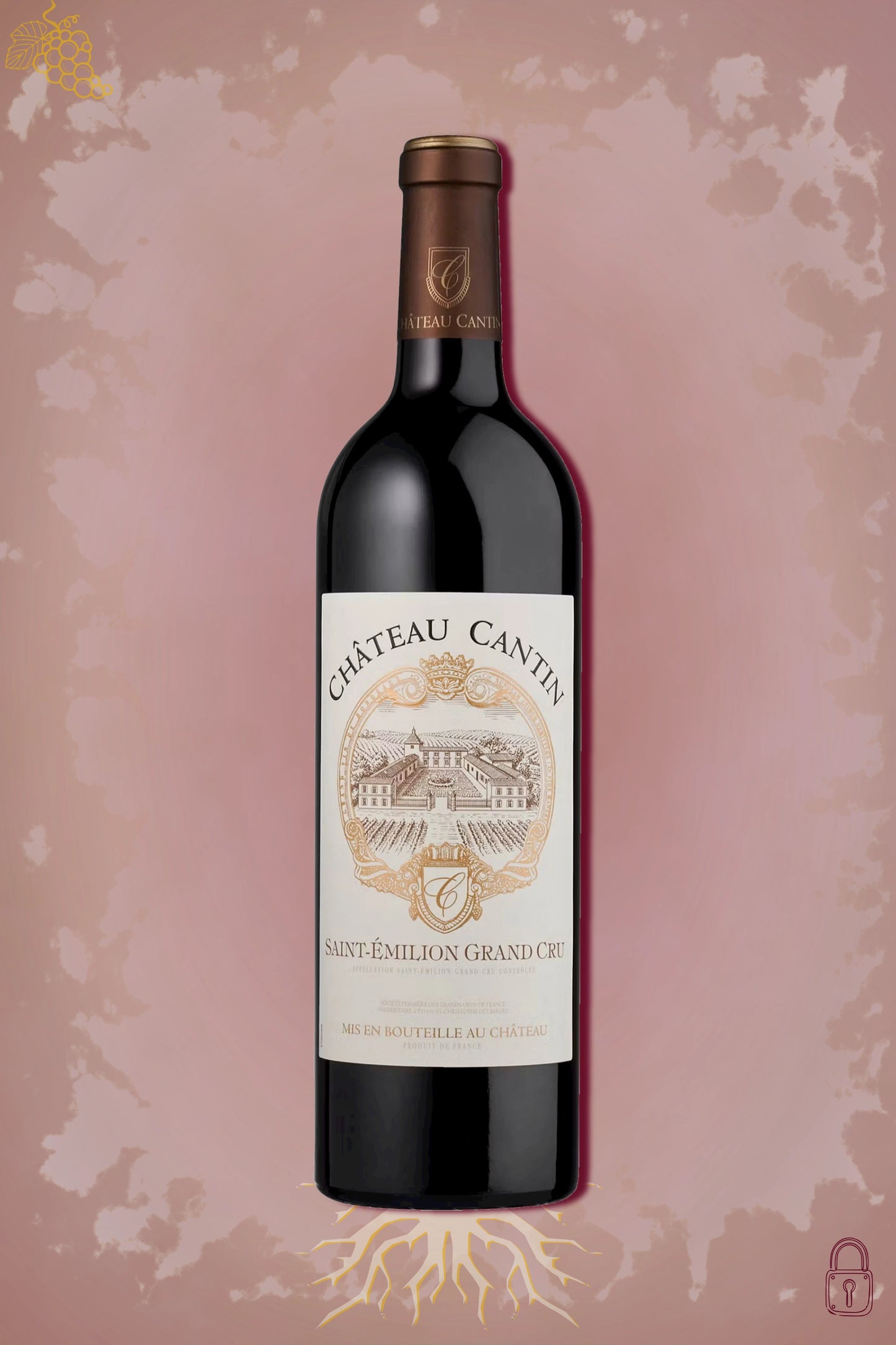 Château Cantin 2019 tegen bordeaux achtergrond – premium rode wijn