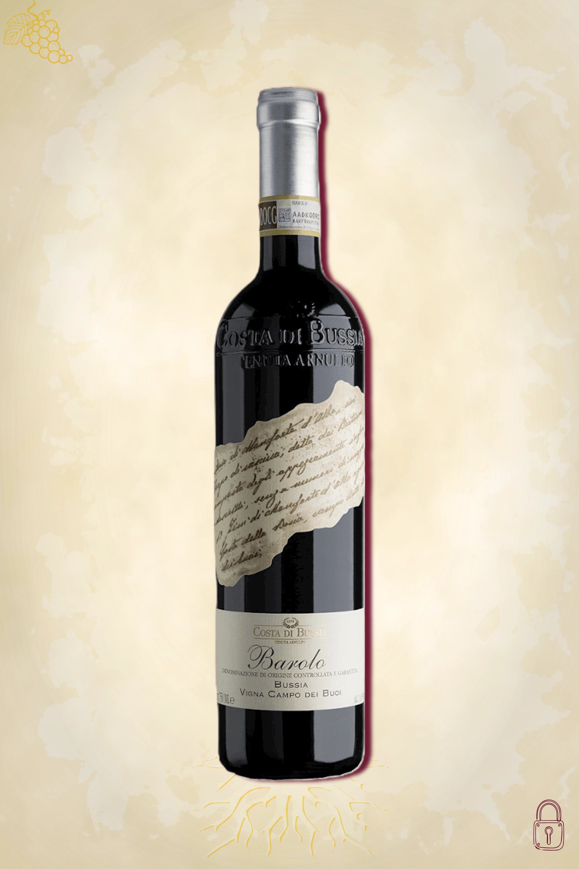 Costa di Bussia Barolo Campo dei Buoi 2015 – rode wijn uit Piemonte, Italië