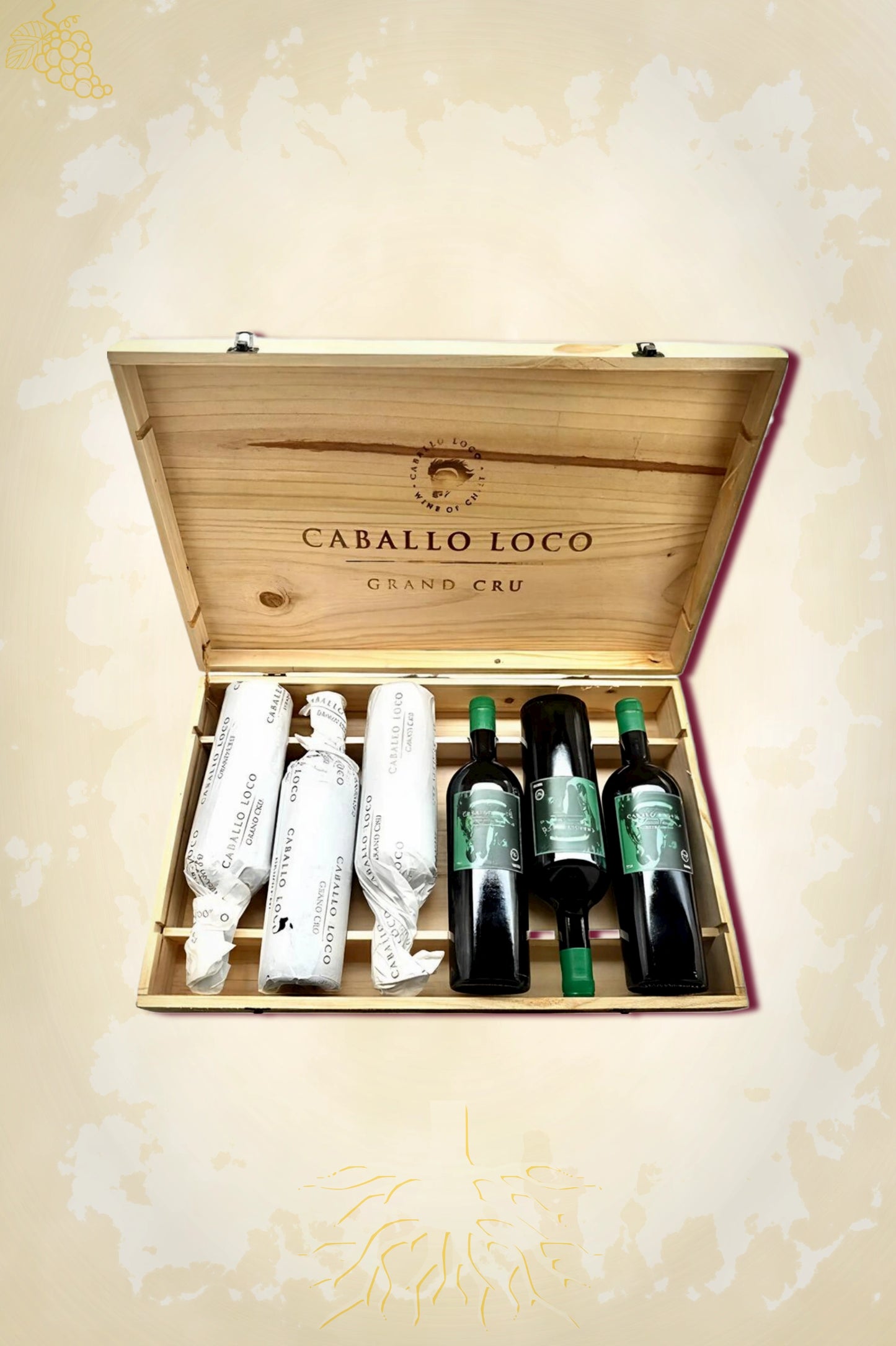 Caballo Loco Grand Cru Sagrada Familia 2023 OWC – rode wijn uit Curicó Valley, Chili