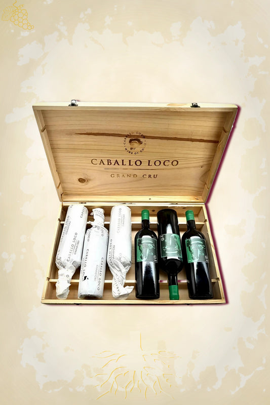 Caballo Loco Grand Cru Sagrada Familia 2023 OWC – rode wijn uit Curicó Valley, Chili