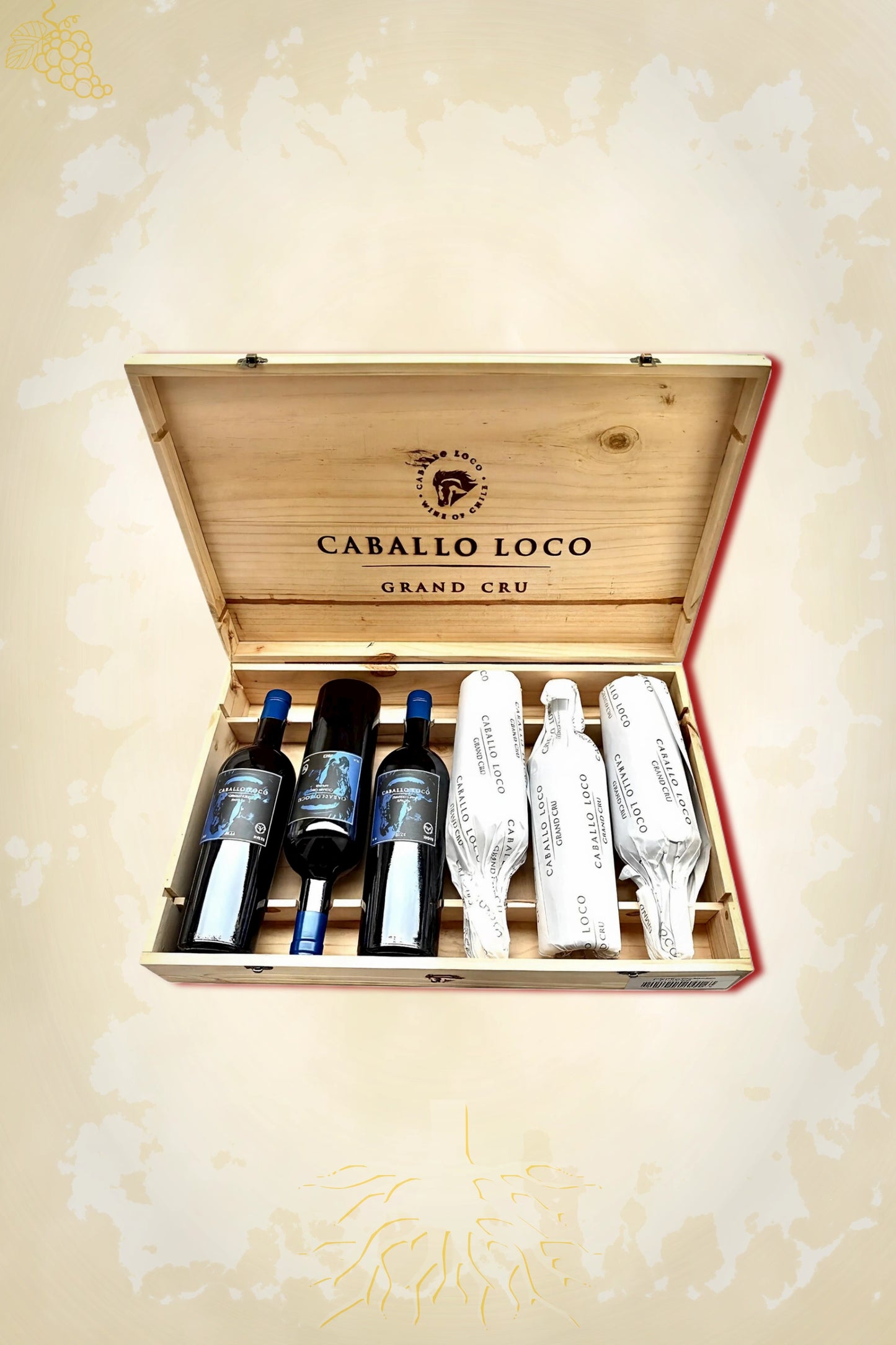 Caballo Loco Grand Cru Apalta 2023 OWC – rode wijn uit Apalta Valley, Chili