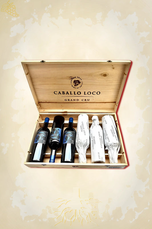 Caballo Loco Grand Cru Apalta 2023 OWC – rode wijn uit Apalta Valley, Chili