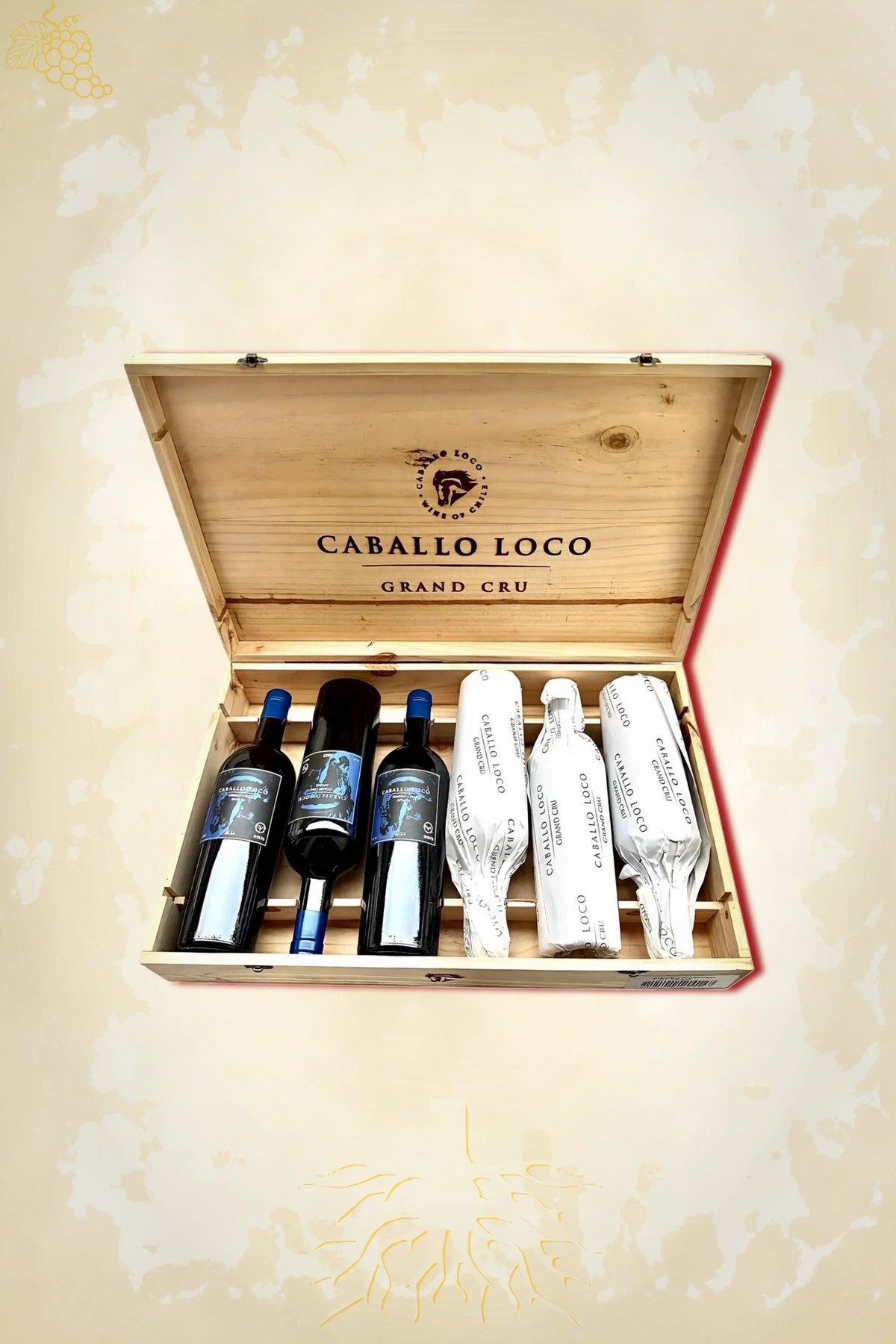 Caballo Loco - Grand Cru Apalta (2023) – OWC 6×75cl