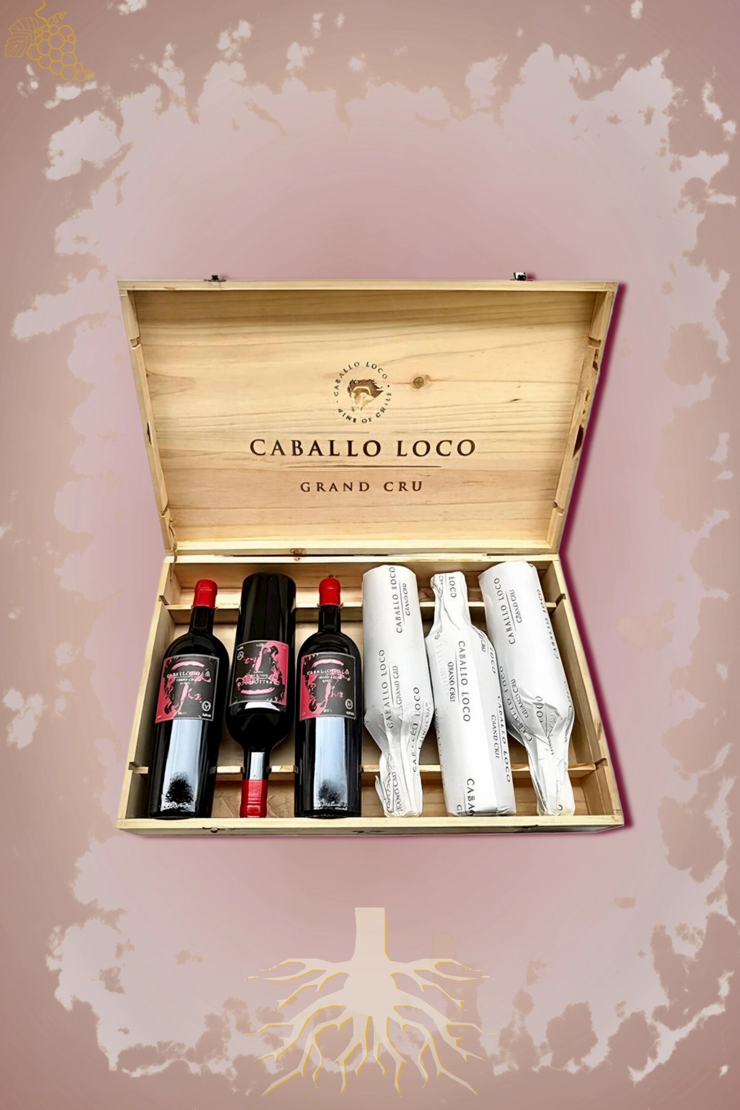 Caballo Loco Grand Cru Maipo 2022 OWC tegen bordeaux achtergrond – premium set