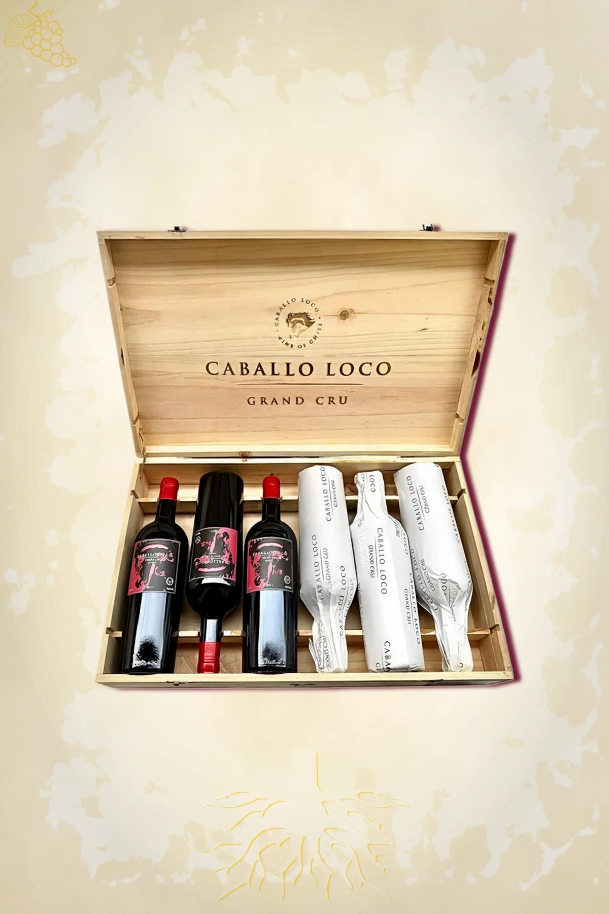 Caballo Loco - Grand Cru Maipo (2022) – OWC 6×75cl