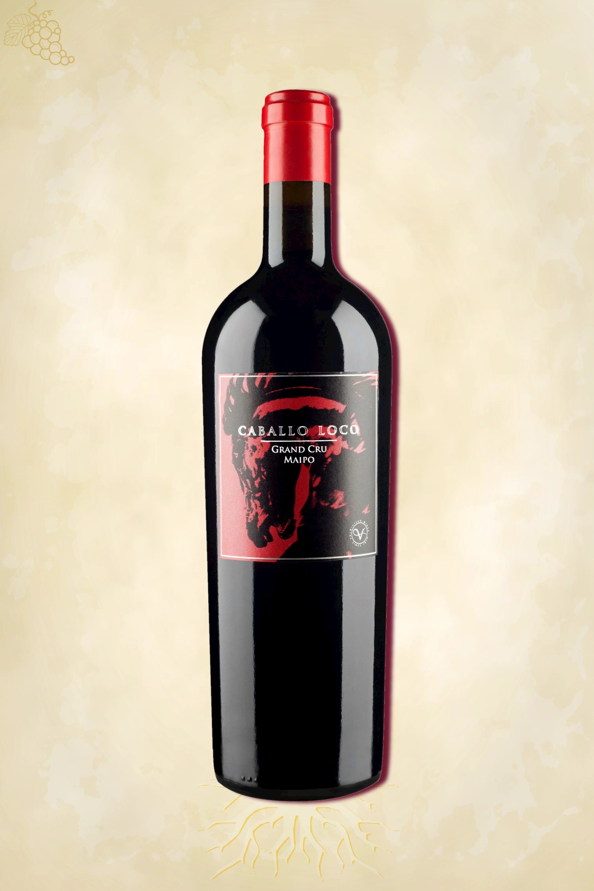 Caballo Loco Grand Cru Maipo 2022 – rode wijn uit Maipo Valley, Chili