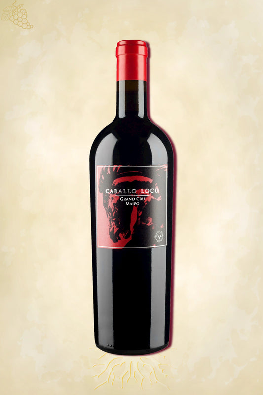 Caballo Loco Grand Cru Maipo 2022 – rode wijn uit Maipo Valley, Chili