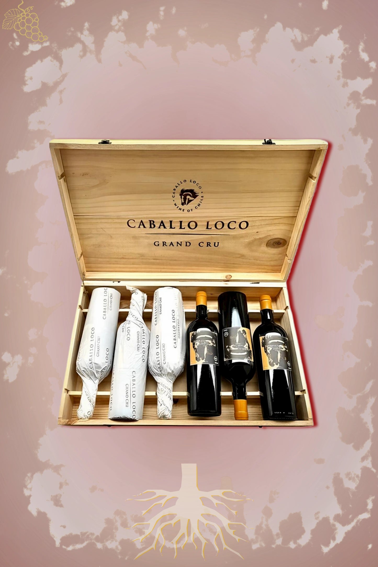Caballo Loco Grand Cru Limarí 2023 OWC tegen bordeaux achtergrond – premium set