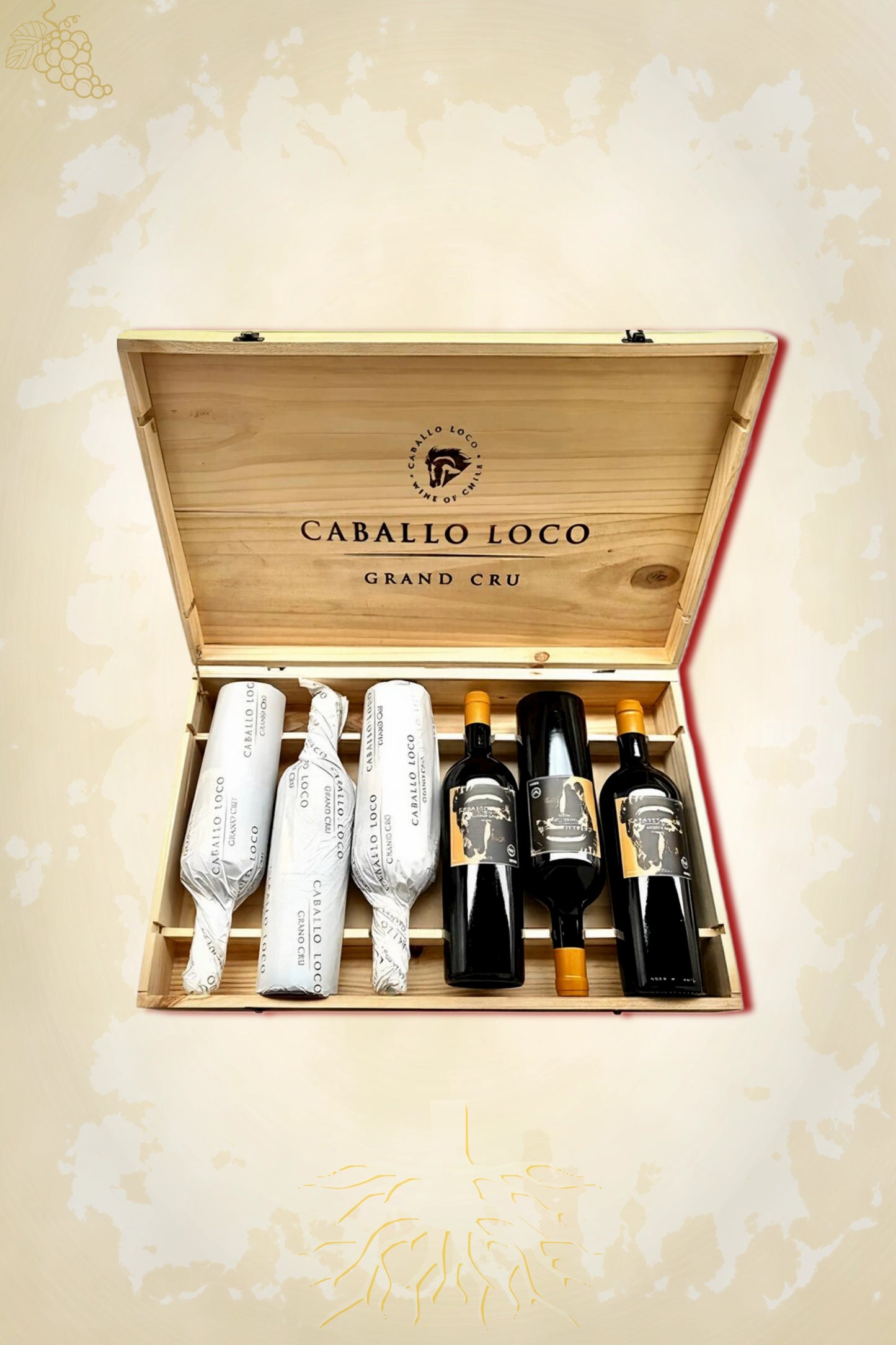Caballo Loco Grand Cru Limarí 2023 OWC – rode wijn uit Limarí Valley, Chili