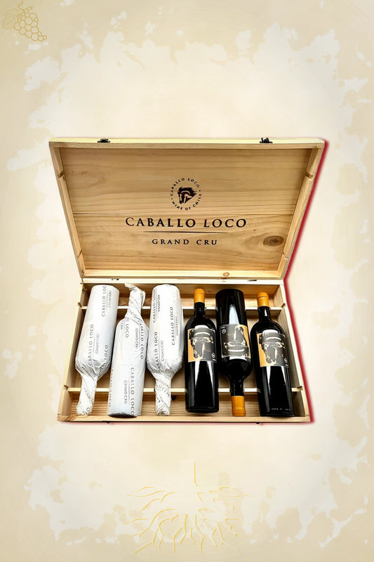 Caballo Loco Grand Cru Limarí 2023 OWC – rode wijn uit Limarí Valley, Chili