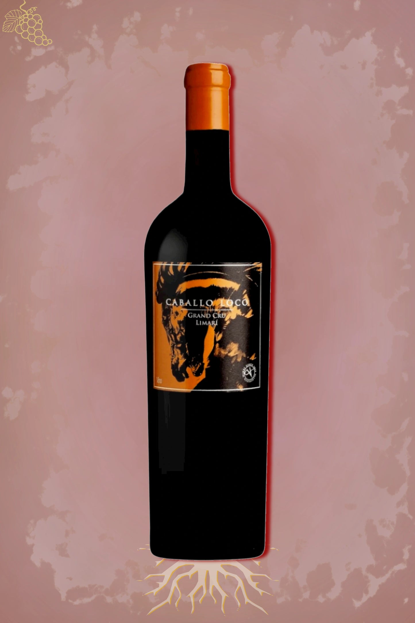 Caballo Loco Syrah Grand Cru 2023 tegen bordeaux achtergrond – premium rode wijn