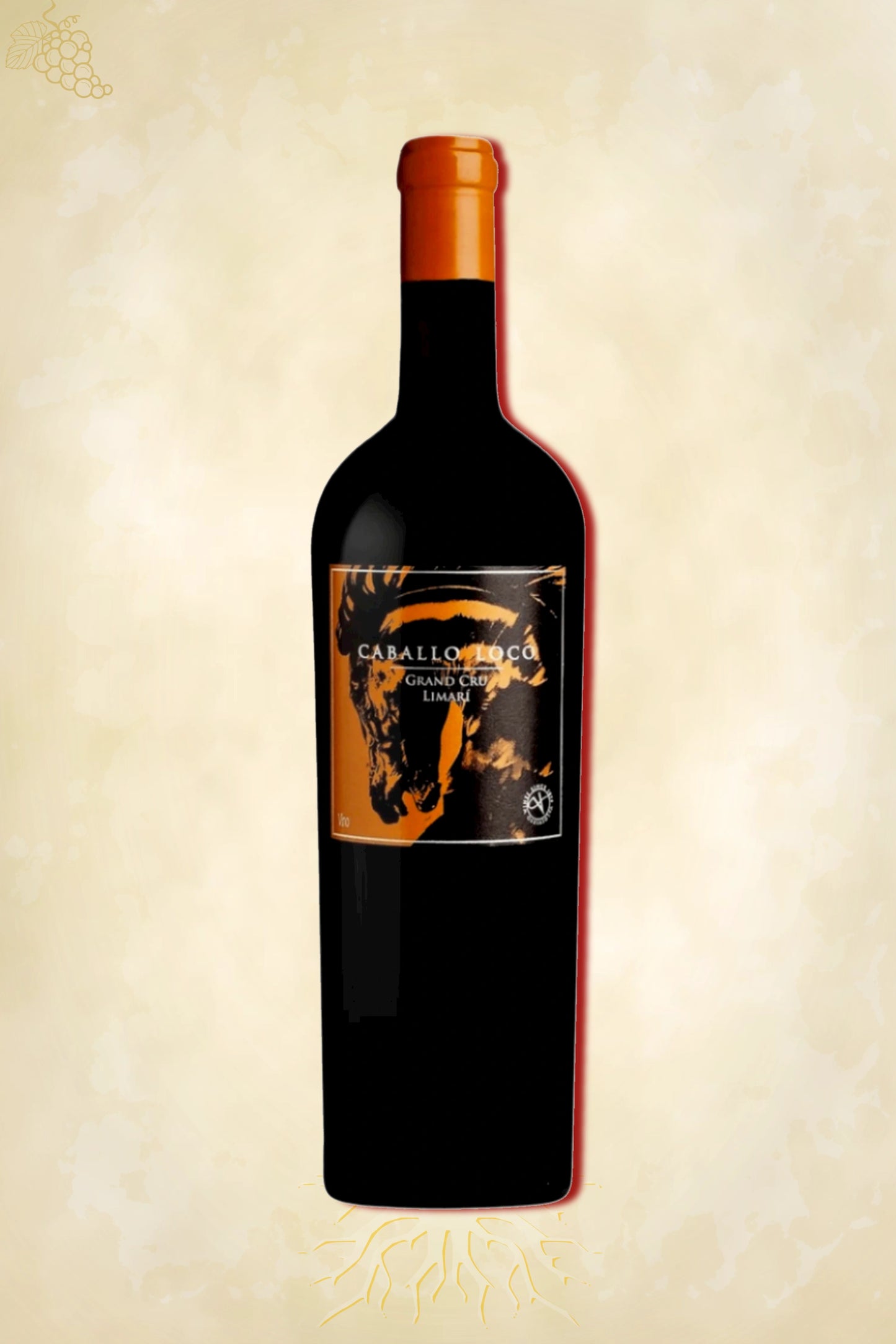 Caballo Loco Syrah Grand Cru 2023 – rode wijn uit Limarí Valley, Chili