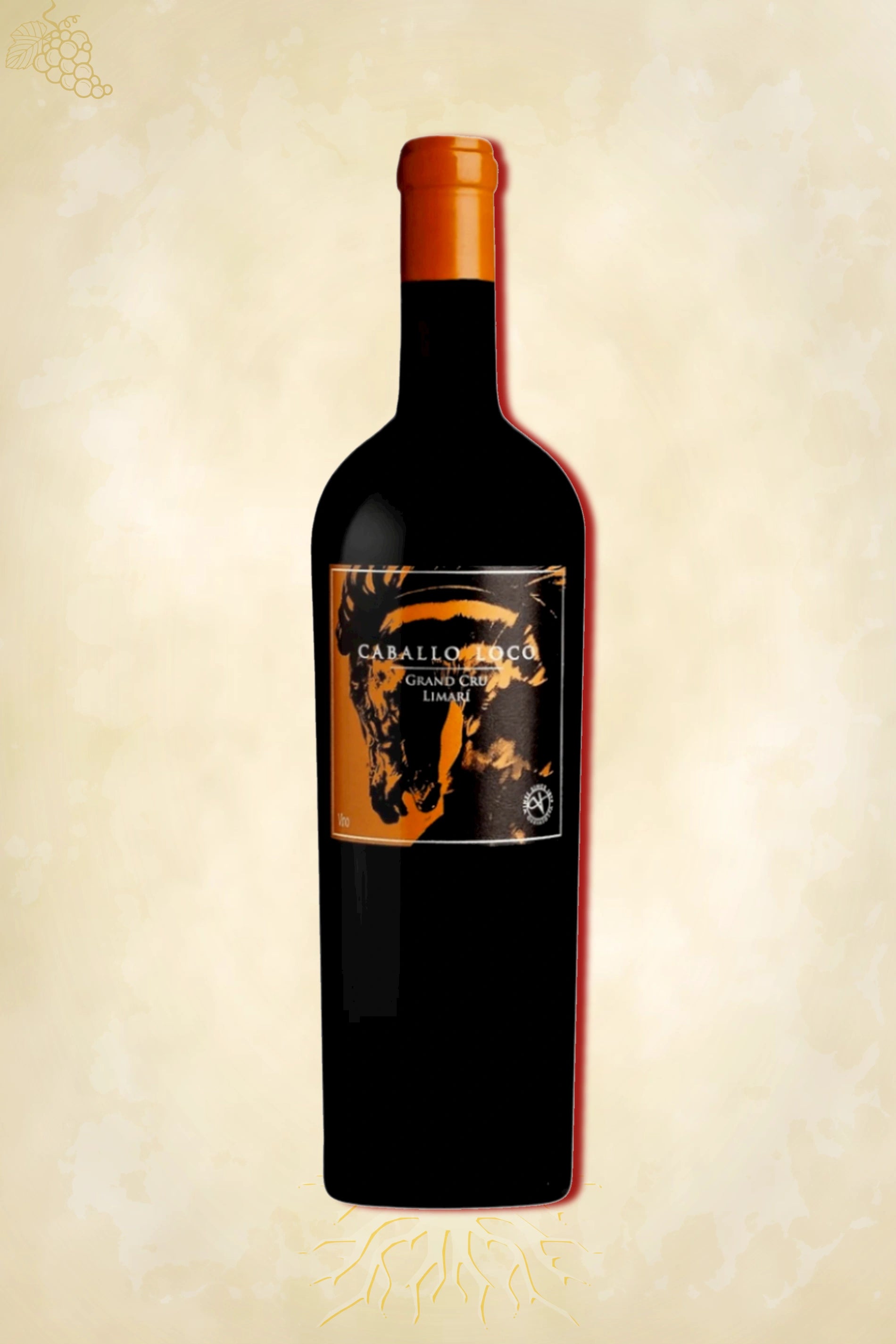 Caballo Loco Syrah Grand Cru 2023 – rode wijn uit Limarí Valley, Chili