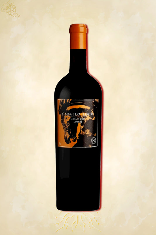 Caballo Loco Syrah Grand Cru 2023 – rode wijn uit Limarí Valley, Chili