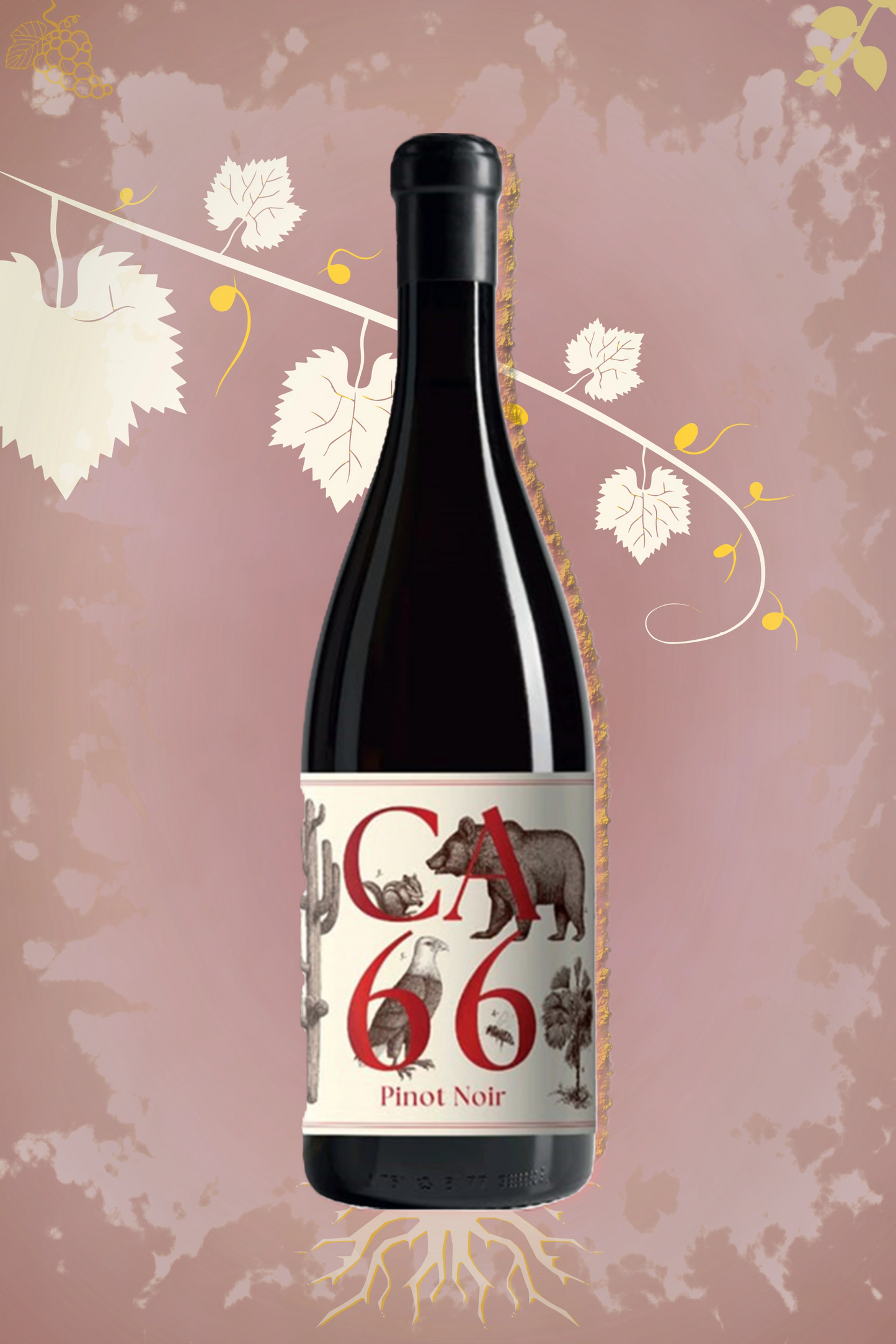 Weingut Hannes Sabathi Pinot Noir 2023 tegen bordeaux achtergrond – biologische elegante rode wijn