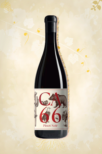Weingut Hannes Sabathi – CA 66 Pinot Noir (2023)