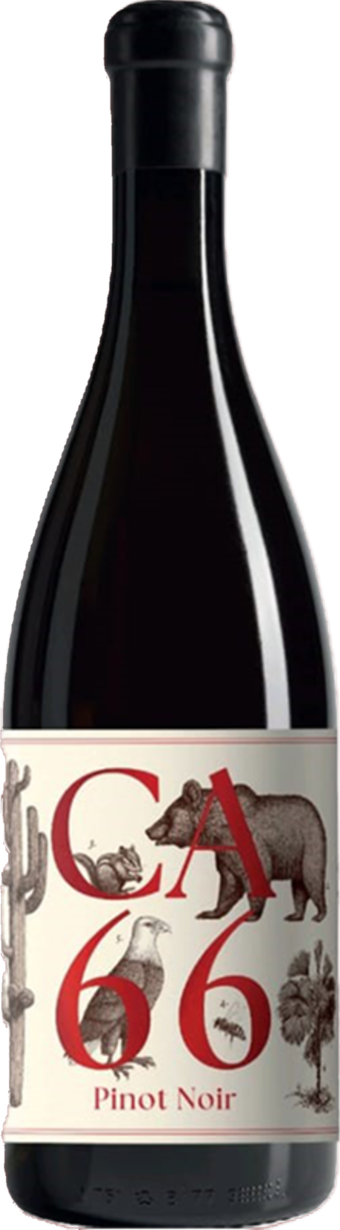 Weingut Hannes Sabathi Pinot Noir 2023 tegen bordeaux achtergrond – biologische elegante rode wijn