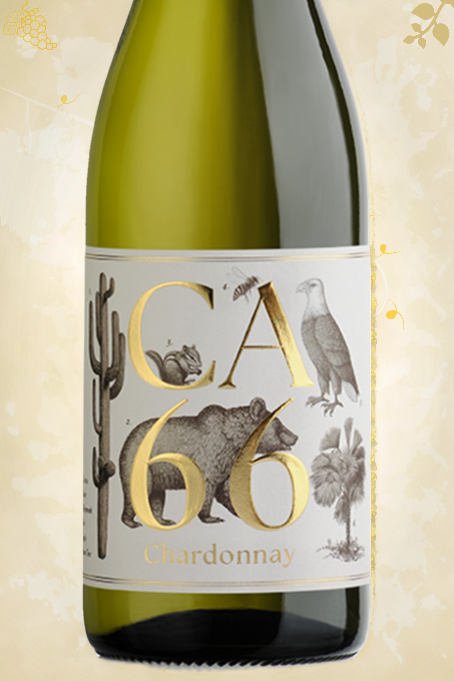 Close-up label Hannes Sabathi Chardonnay 2022 – DAC-herkomst en topvintage vermelding zichtbaar