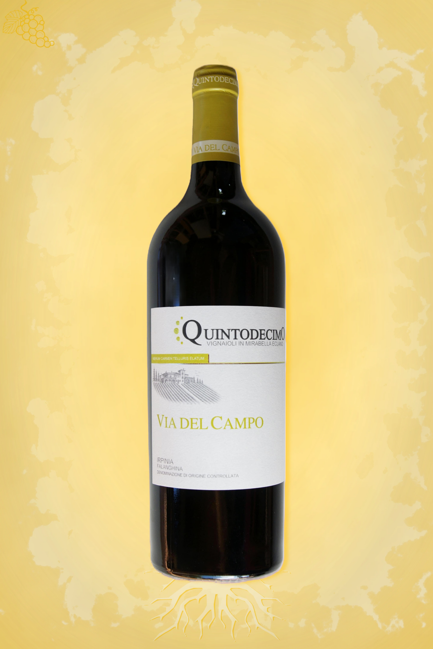 Via del Campo Falanghina 2022 tegen gouden achtergrond – premium presentatie