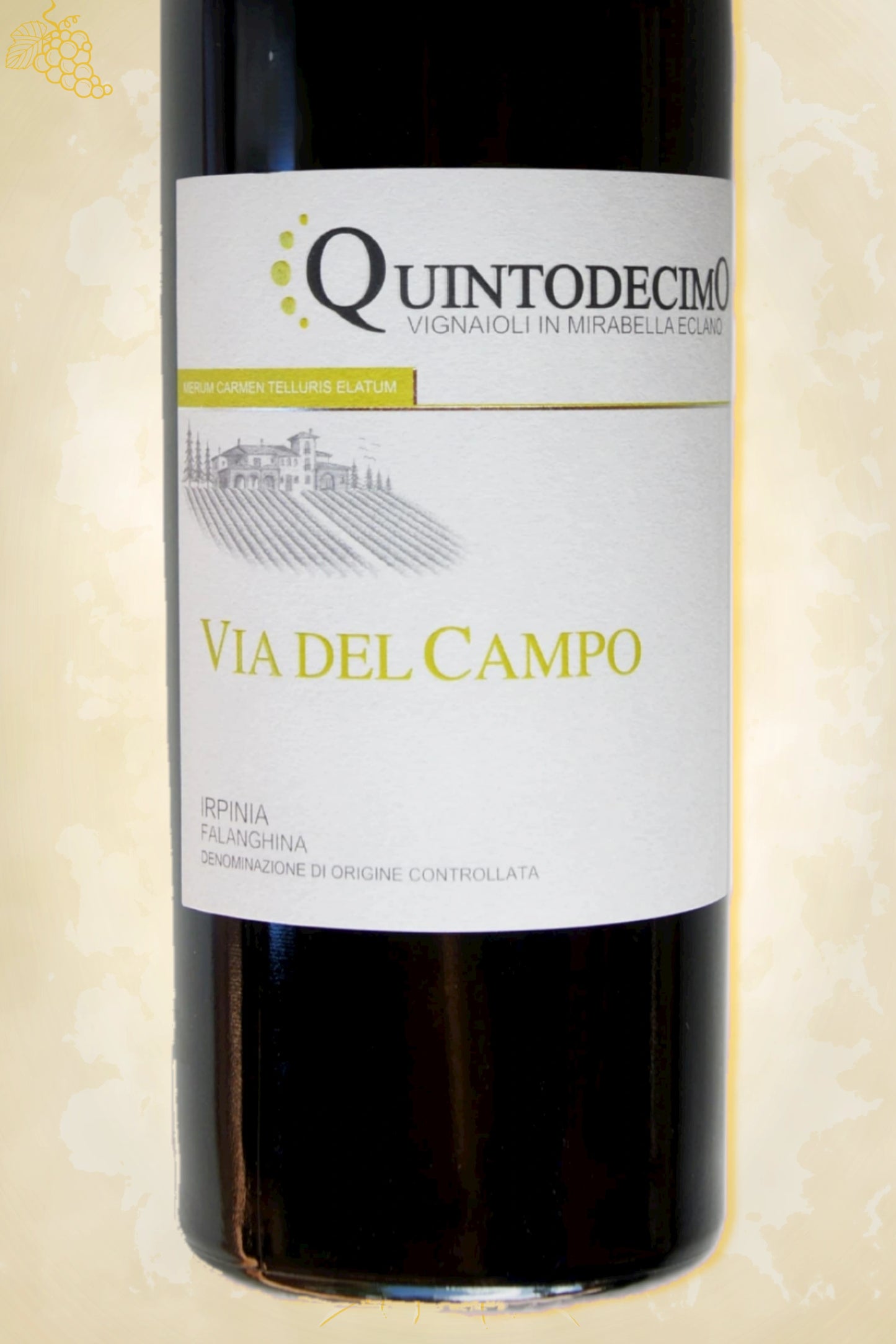 Close-up label Via del Campo Falanghina 2022 – Quintodecimo details zichtbaar