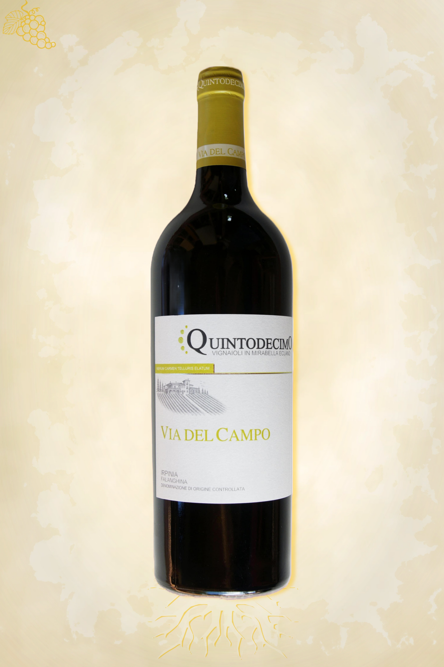 Via del Campo Falanghina 2022 – witte wijn uit Campania, Italië