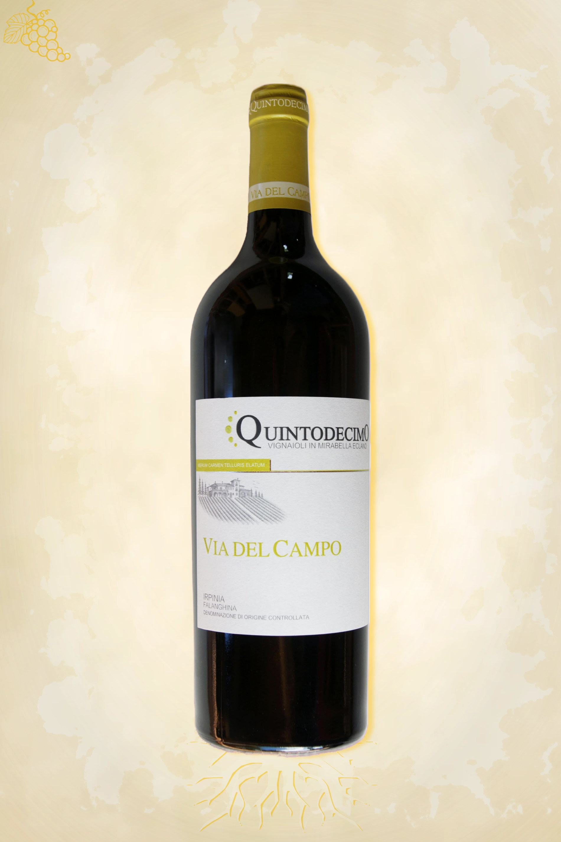 Via del Campo Falanghina 2022 – witte wijn uit Campania, Italië