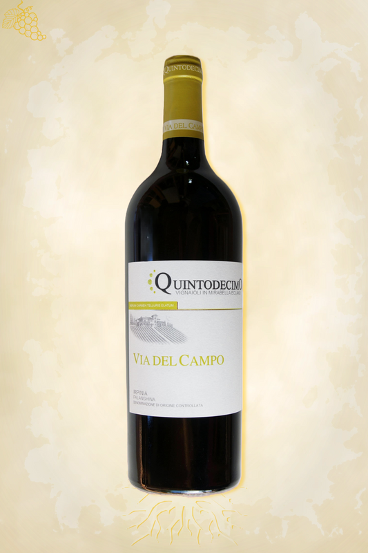 Via del Campo Falanghina 2022 – witte wijn uit Campania, Italië