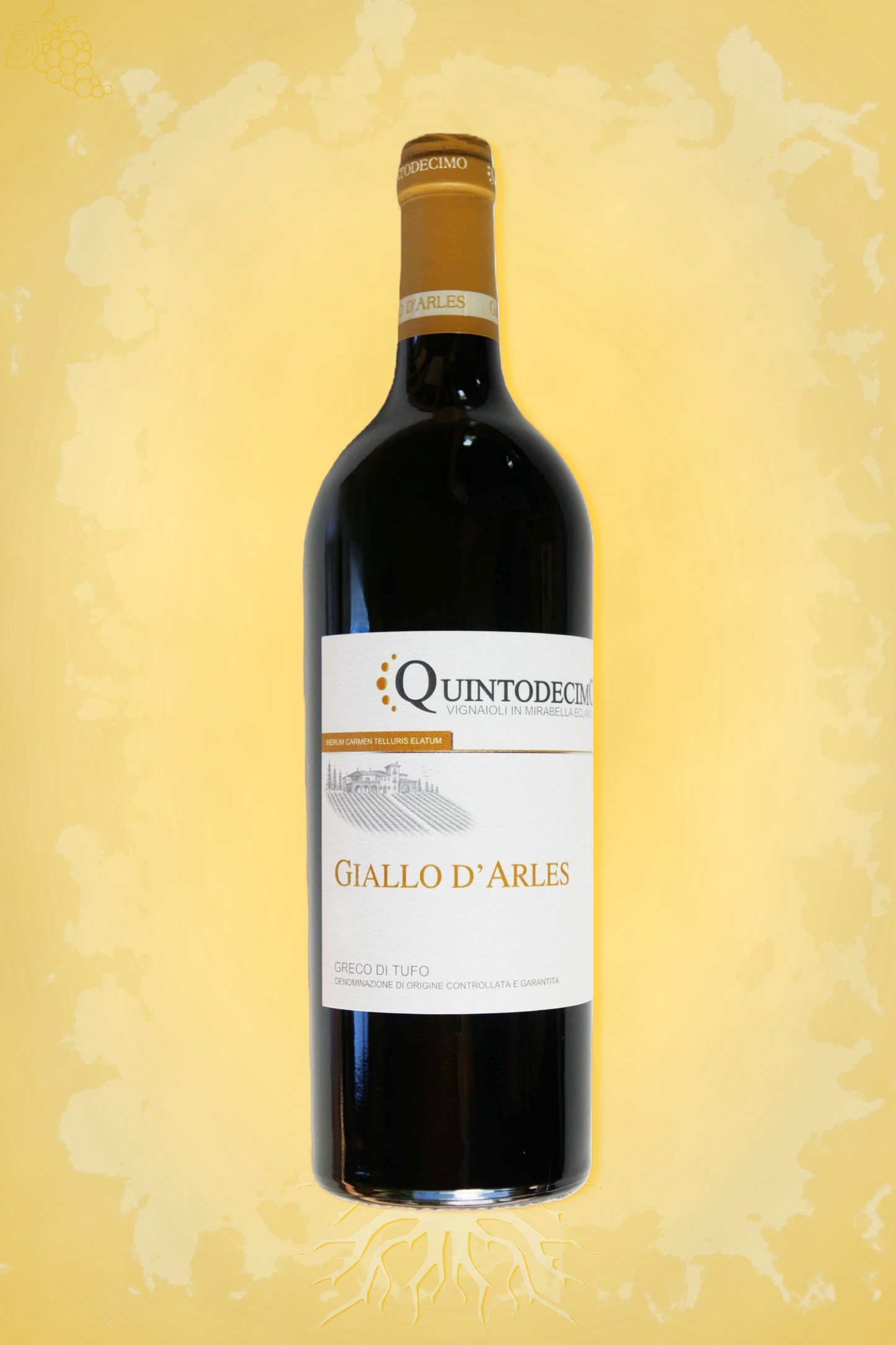 Quintodecimo Giallo d’Arles Greco di Tufo 2024 fles – premium presentatie