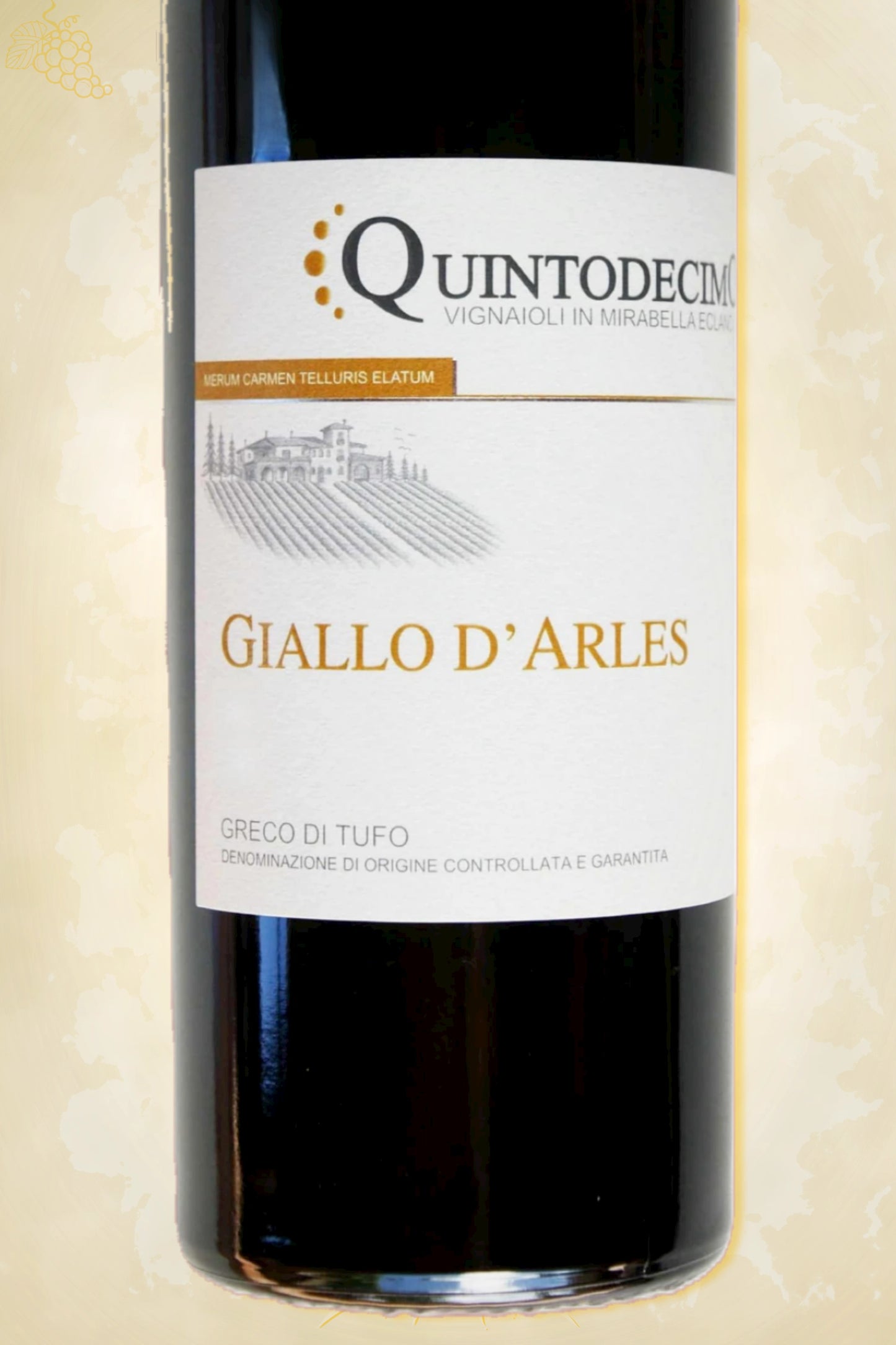 Close-up etiket Giallo d’Arles Greco di Tufo 2024 – Quintodecimo