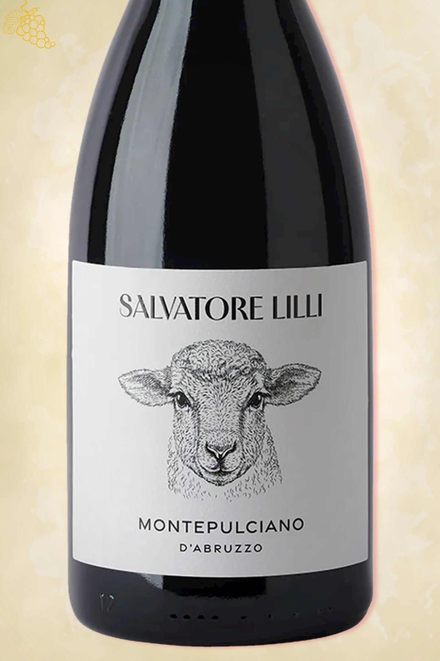 Close-up label Salvatore Lilli Montepulciano d'Abruzzo 2023 – DOC en vintage details