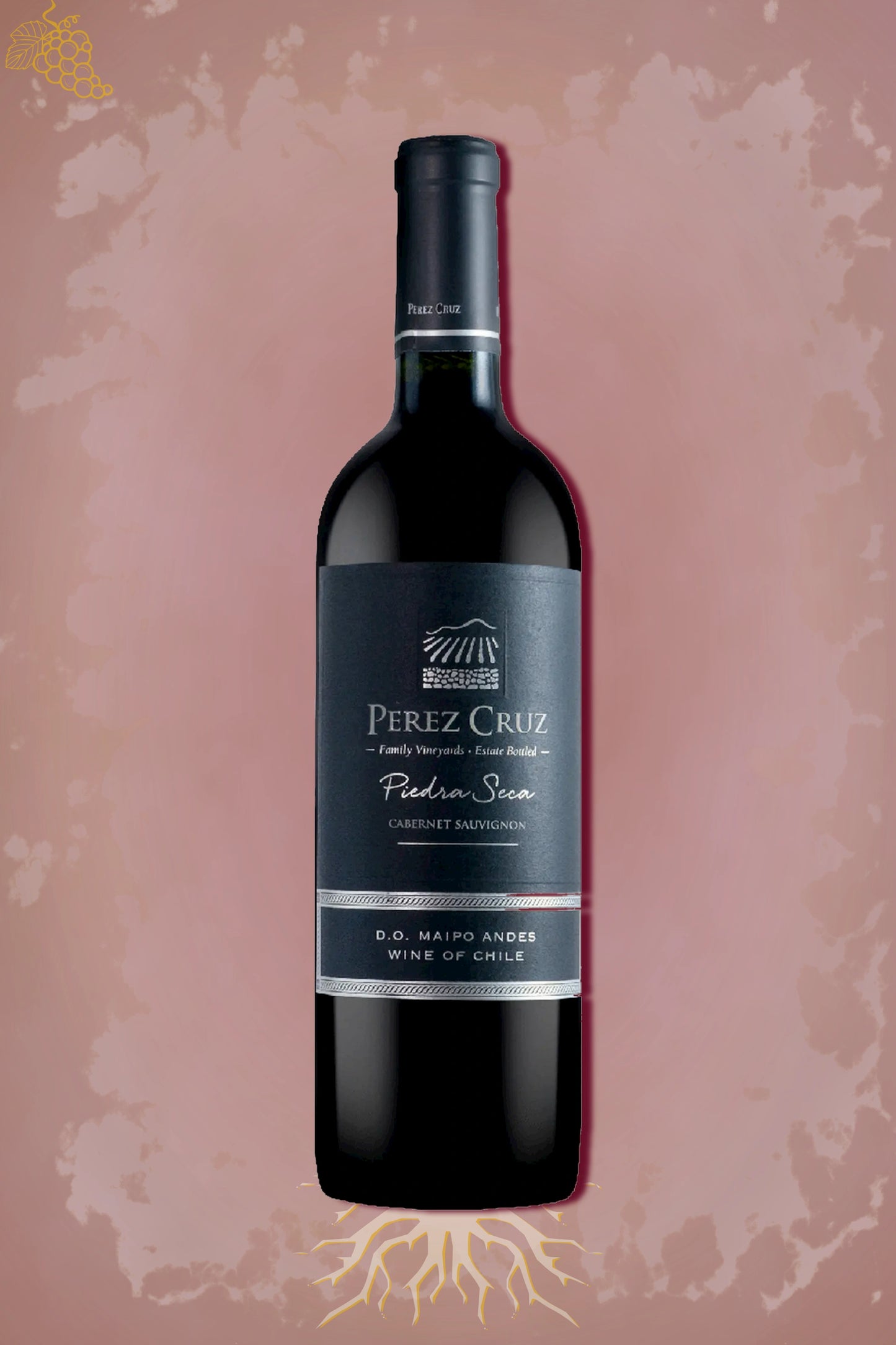 Pérez Cruz Piedra Seca 2022 tegen bordeaux achtergrond – premium rode wijn
