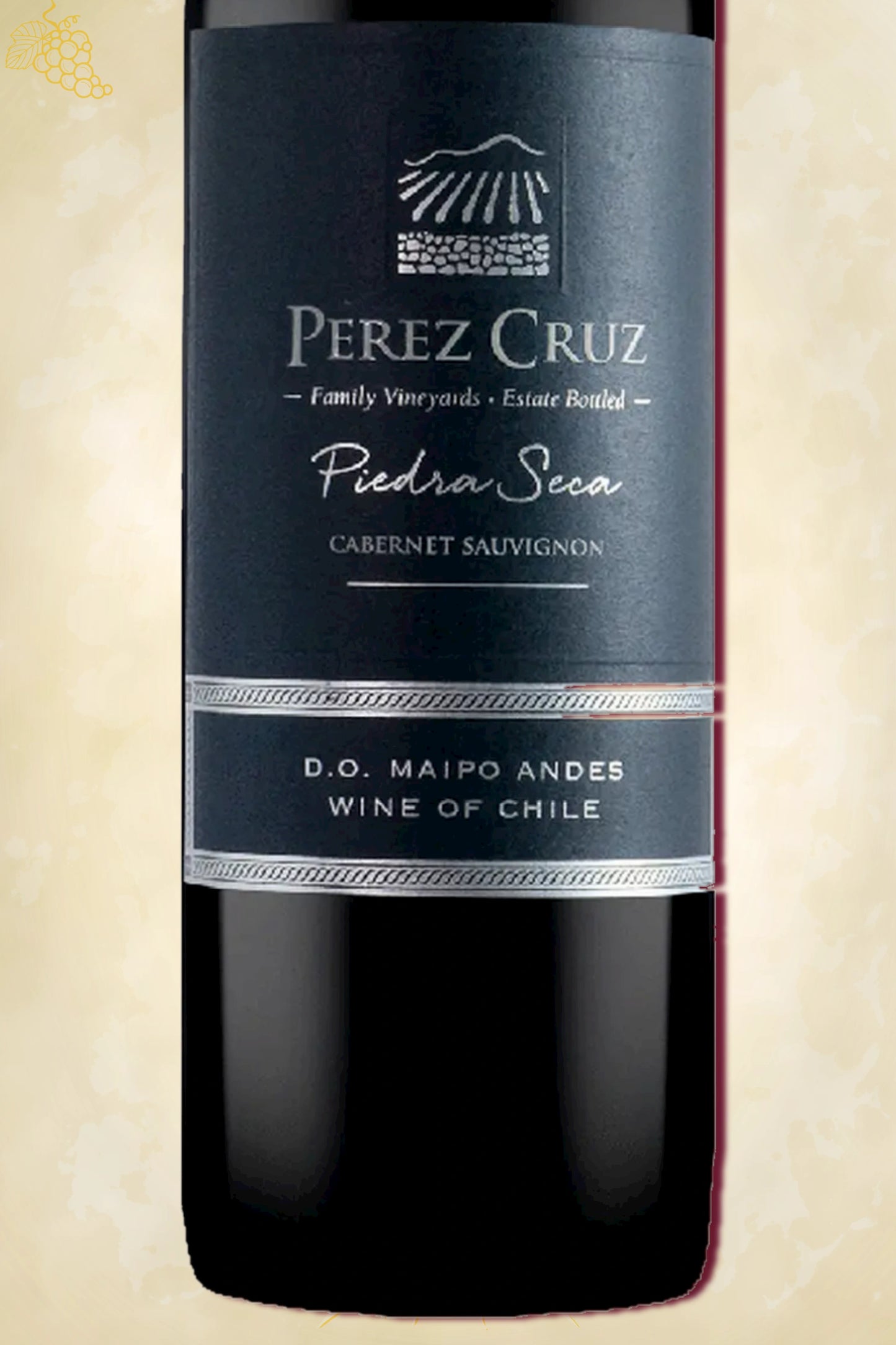 Close-up label Pérez Cruz Piedra Seca 2022 – logo en vintage details