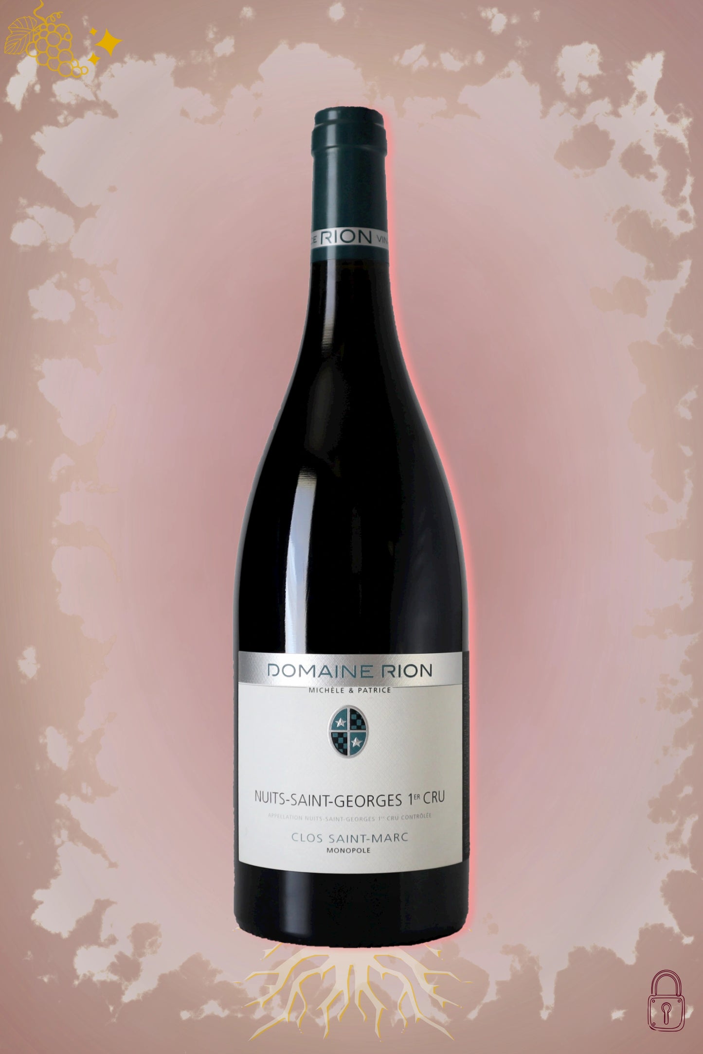 Domaine Patrice Rion Clos Saint-Marc 2016 tegen bordeaux achtergrond