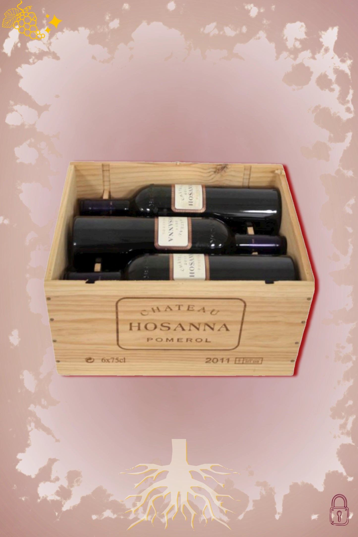 Château Hosanna 2011 tegen bordeaux achtergrond – premium rode wijn, OWC