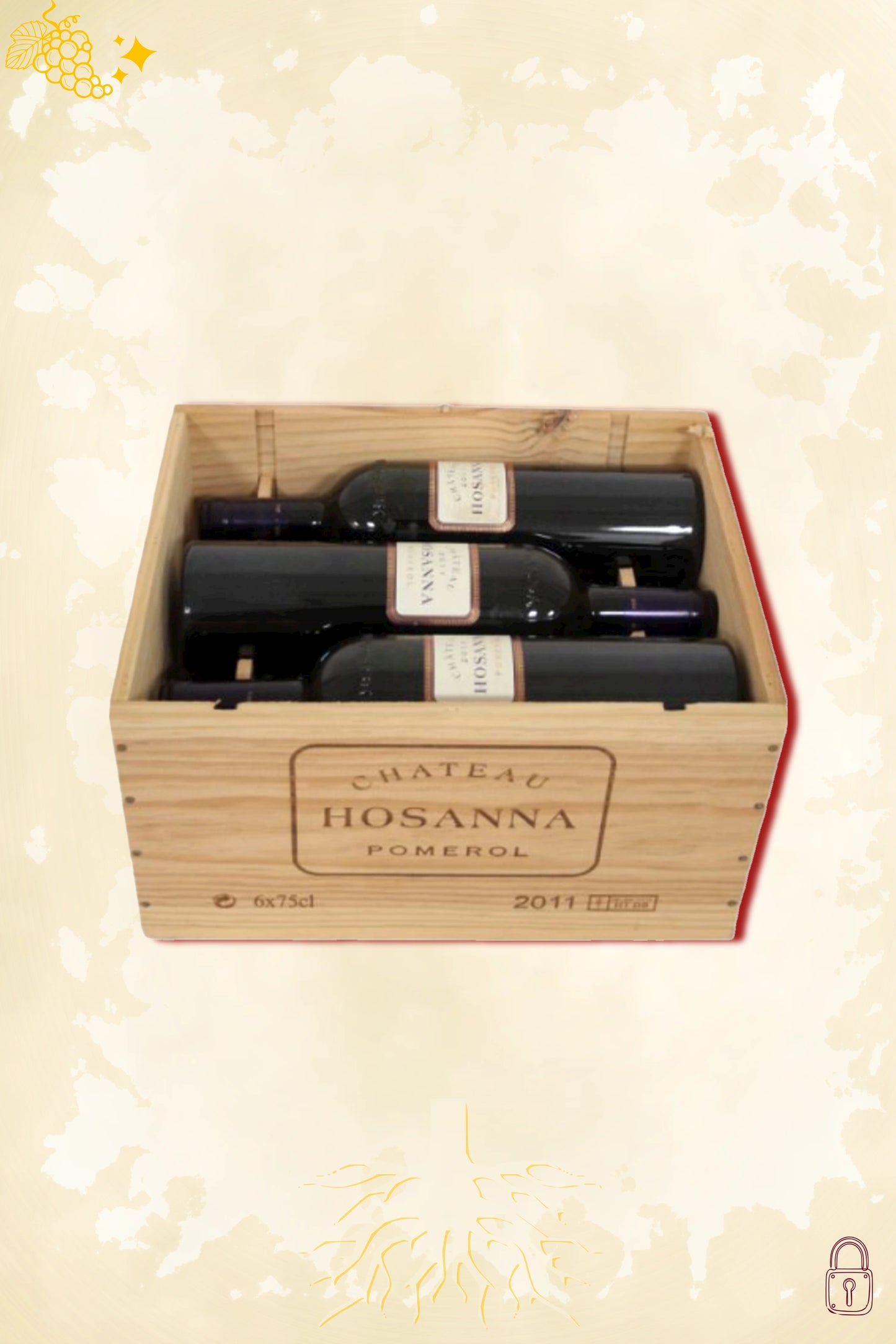 Château Hosanna 2011 – rode wijn uit Pomerol, Frankrijk, OWC