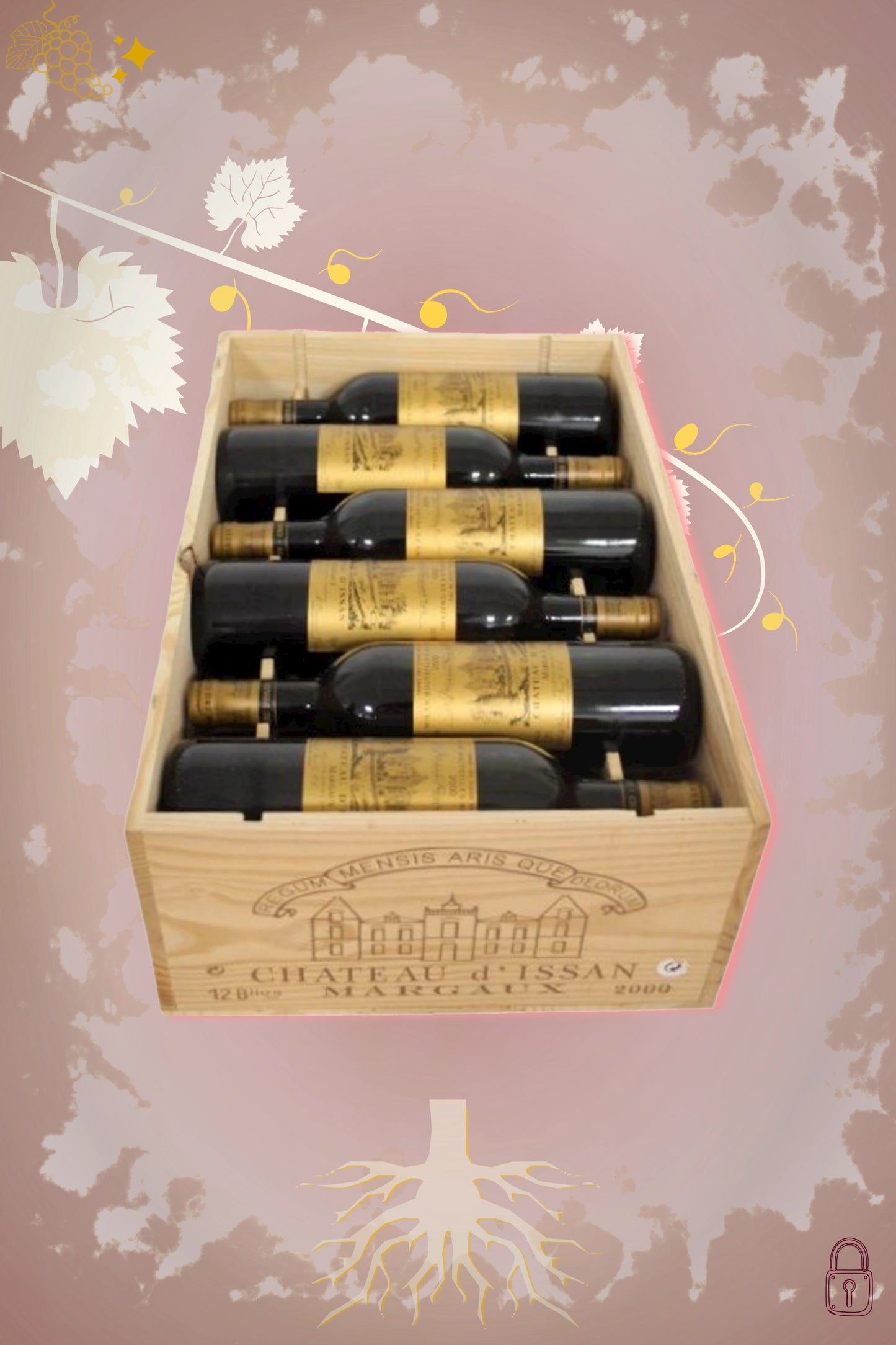 Château d’Issan 2000 tegen bordeaux achtergrond – premium rode wijn, OWC