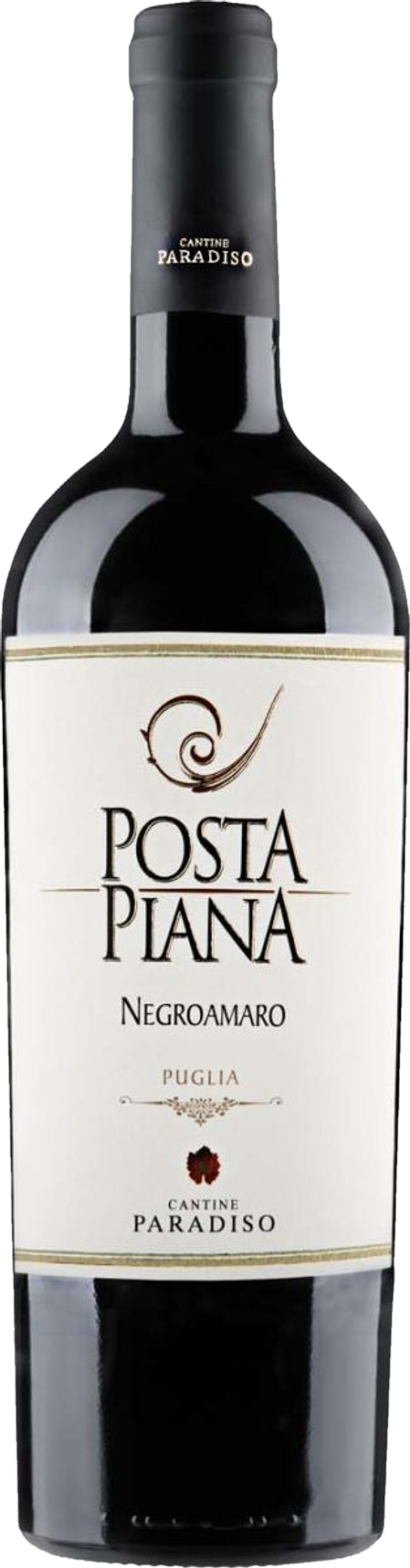 Paradiso Posta Piana Negroamaro 2023 tegen bordeaux achtergrond – rode wijn