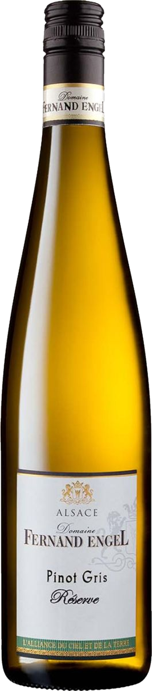 Fernand Engel Pinot Gris Réerve BIO 2023 tegen gouden achtergrond – premium witte wijn