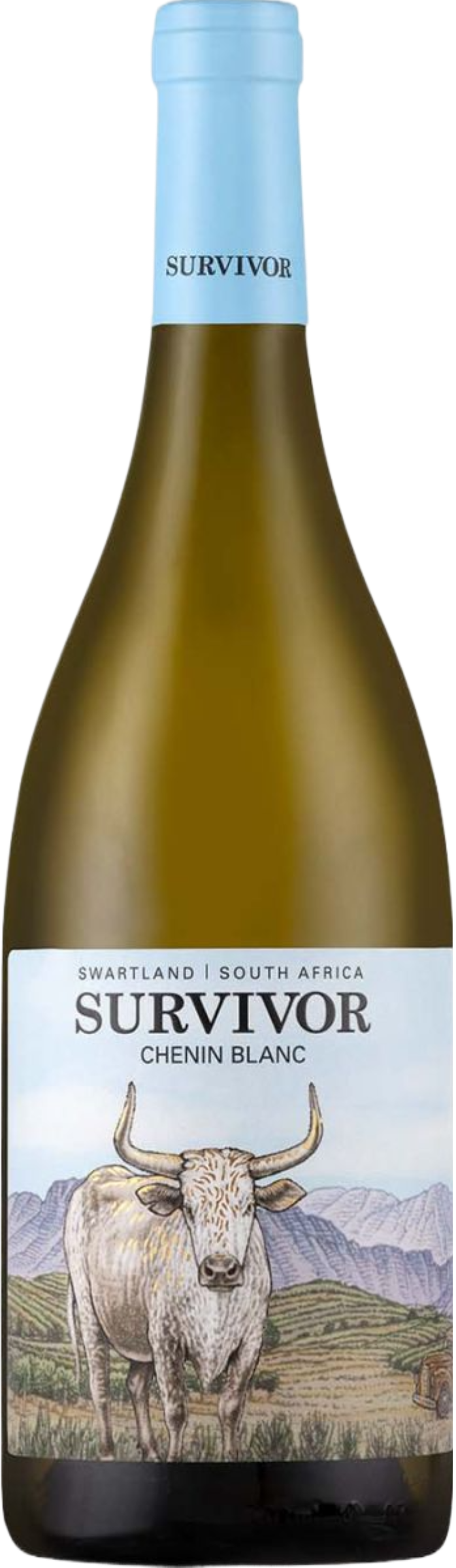 Survivor Chenin Blanc 2024 tegen gouden achtergrond – premium witte wijn