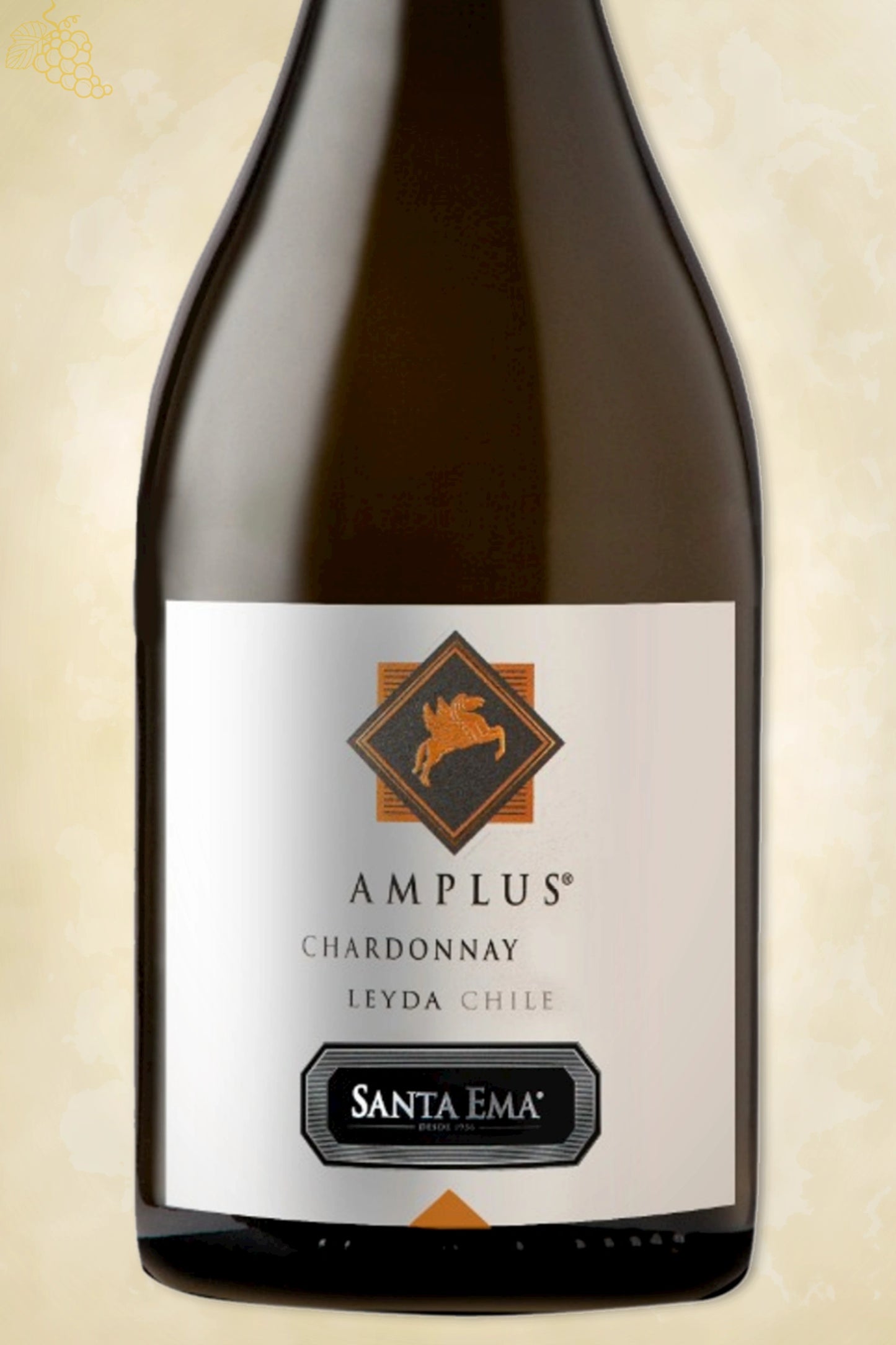 Close-up label Santa Ema – producent details zichtbaar